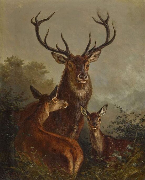 BlockChain Block Space